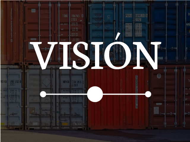 visión